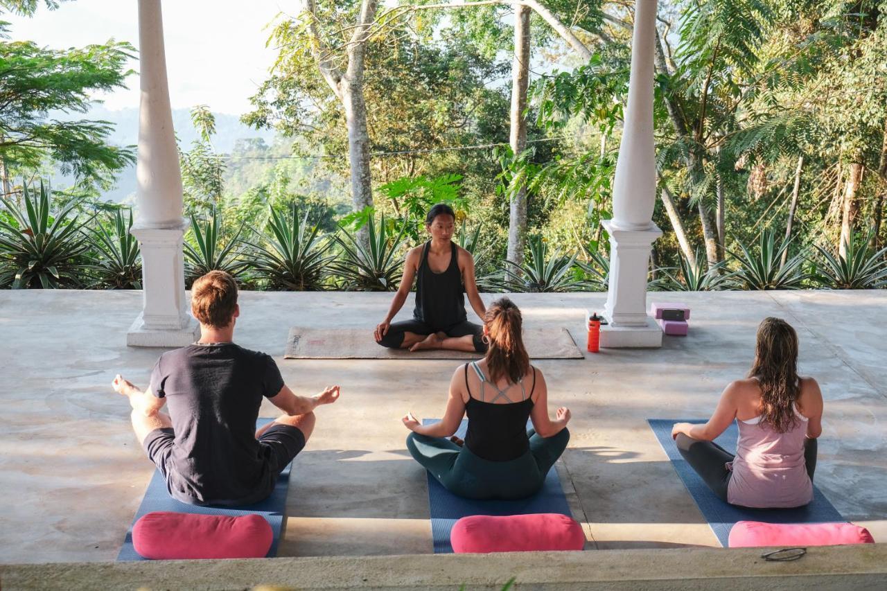 Welikande Yoga Retreats Hotel Digana Exterior photo